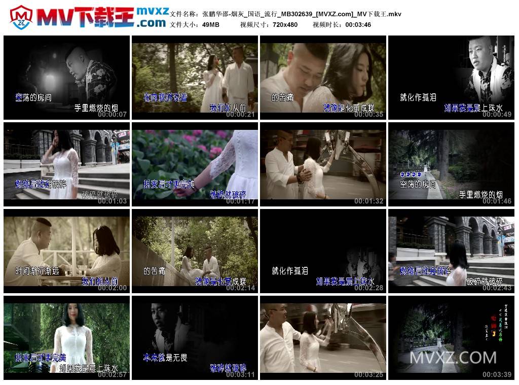 张鹏华邵-烟灰_国语_流行_MB302639